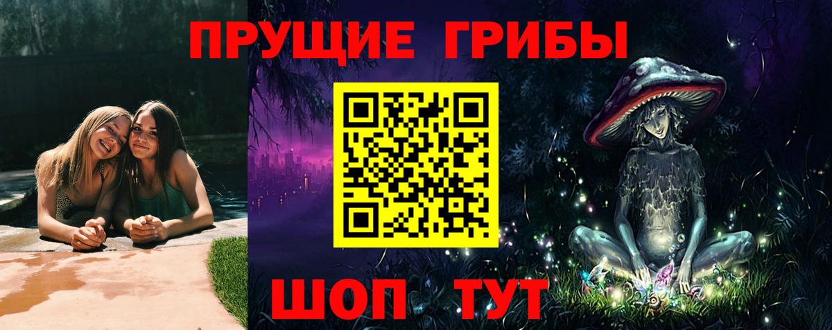 Псилоцибиновые грибы Psilocybe  Вход с VPN  Псилоцибиновые грибы мухоморы  Мытищи 